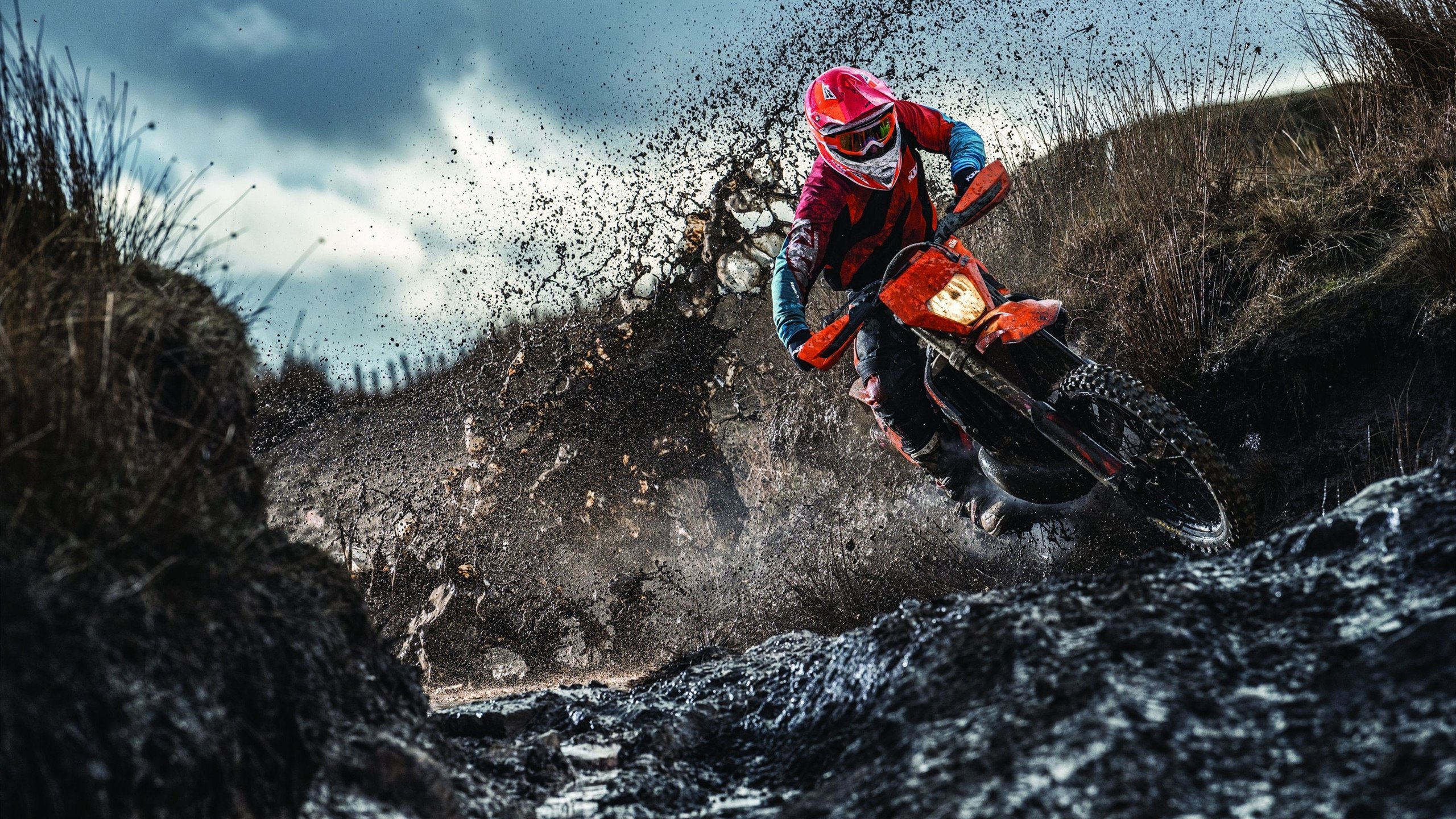 中国男子接力决赛展现冠军风范，中国男子接力比赛4×100决赛